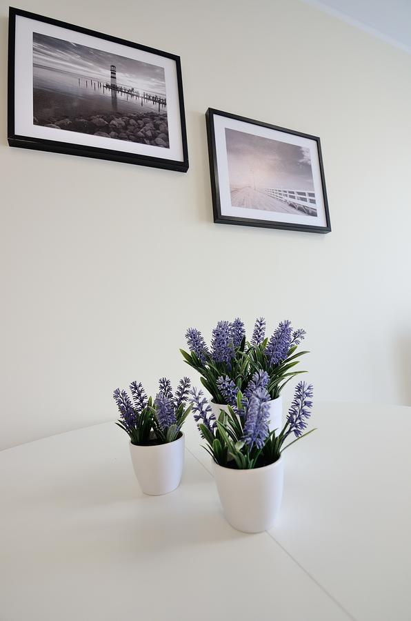 Lägenhet Victus Apartamenty, Cztery Oceany